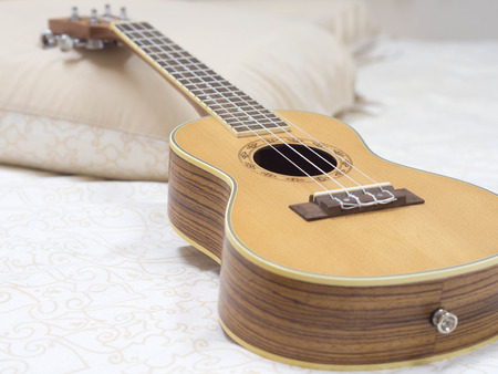 selective focus, ukulele with bedding , tint color