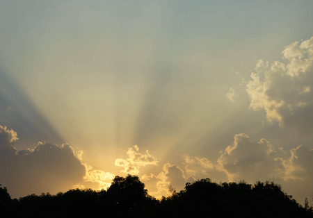 sunset behind treetopの写真素材