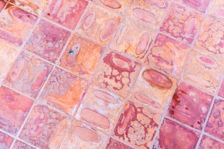 art tile floorの写真素材