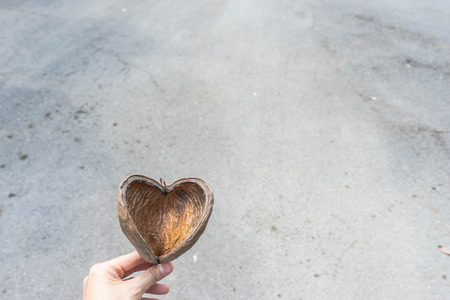 fruit shell look like heart on hand, cement road background