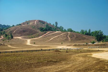 dry grass mountain in summer seasonの写真素材