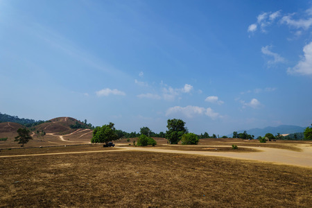 dry grass mountain in summer seasonの写真素材