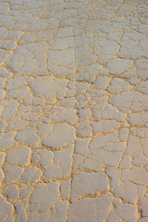dry soil pressed tightly in country roadの写真素材