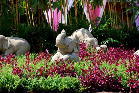 Style landscapingの写真素材