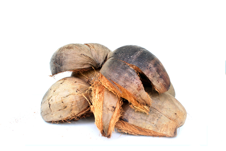 coconut shell's hair,coconut peel white background.の写真素材