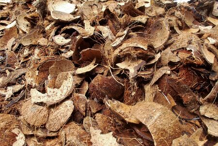 Background coconut shell prepared for burning charcoal.の写真素材