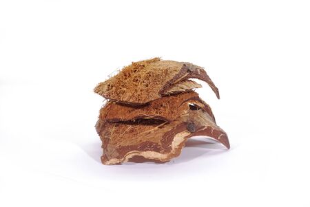 Hard coconut shell is used to make charcoal on white background.