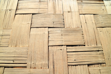 Bamboo1