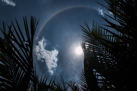 Corona sun with half ringの写真素材