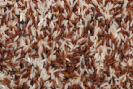 Blurred mix rices : white (jasmine) rice,riceberry and brownの写真素材
