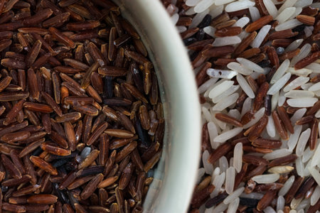 Brown rice in the cup on mix rices : white (jasmine) rice,riceberry and brown riceの写真素材