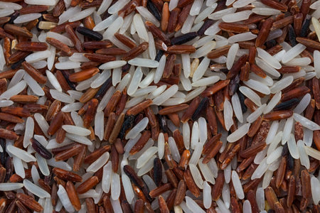 Mix rices : white (jasmine) rice,riceberry and brown rice backgroundの写真素材