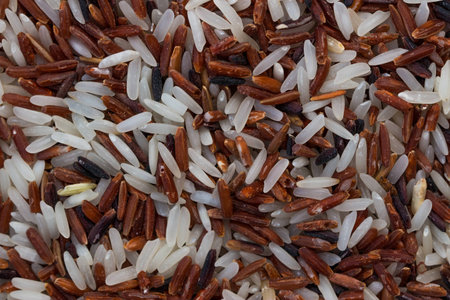 Mix rices : white (jasmine) rice,riceberry and brown rice backgroundの写真素材