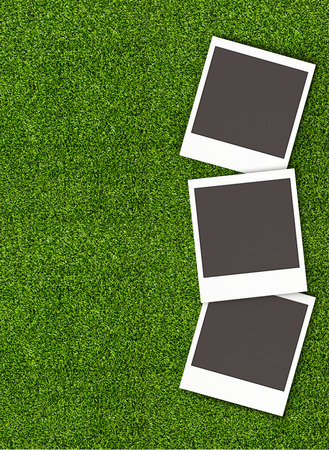 photos isolated on green grass backgroundの写真素材