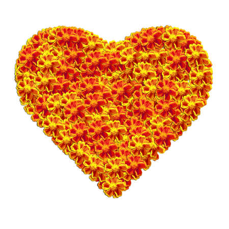 The yellow flower heart symbol isolated on whiteの写真素材