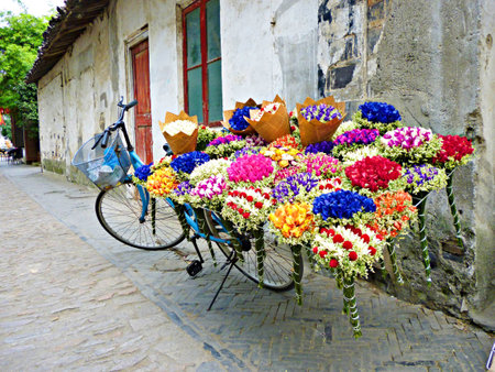 Colorful Bicycleの写真素材