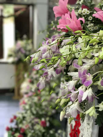 The colorful flowers are beautifulの素材