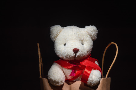 teddy bear tied with red ribbon in shopping bag, black backgroundの写真素材
