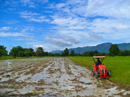 Farmer prepares the land for next caltivation