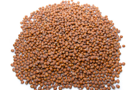 A heap of hazelnuts, isolated on whiteの写真素材