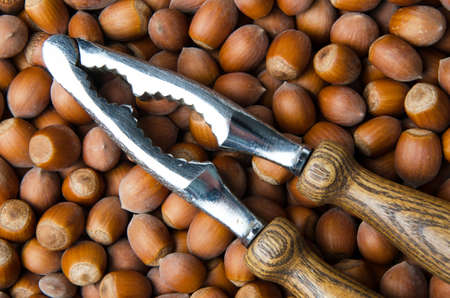 A lot of hazelnuts with a nutcrackerの写真素材