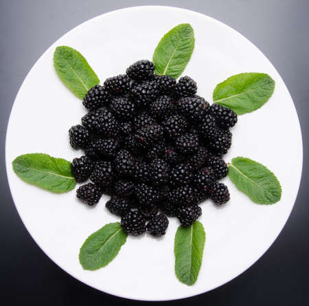 Plate of fresh blackberries with mint on a black backgroundの写真素材