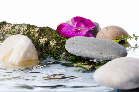 Composition of stones, a flower and a tree branch in water, isolated on whiteの写真素材