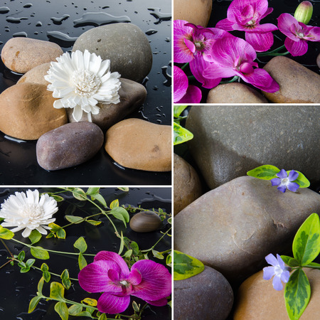 Collage of different compositions with pebbles and flowers on a black backgroundの写真素材