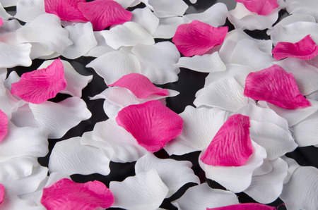 Background made from white and pink flower petalsの写真素材