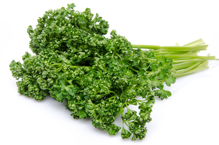 Bunch of parsley, isolated on whiteの写真素材
