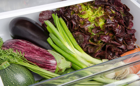 Fresh vegetables in the bottom of the refrigeratorの写真素材