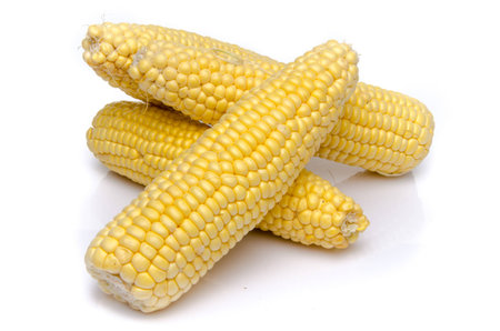 Fresh corn on the cob, isolated on whiteの写真素材