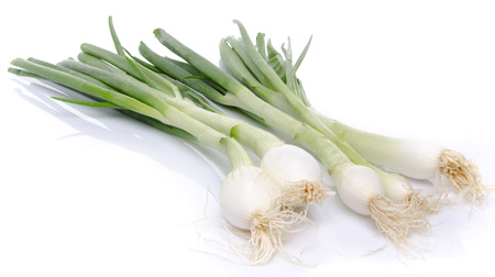 Fresh green onions, isolated on whiteの写真素材