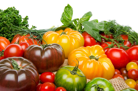Composition of different varieties of tomatoes and herbs on a burlap, isolated on whiteの写真素材