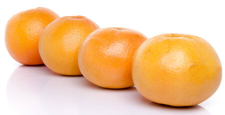 Line of grapefruits, isolated on whiteの写真素材