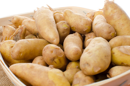 New rattes potatoes in a basket, isolated on whiteの写真素材