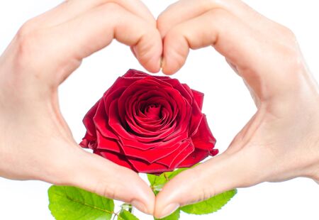 Heart shaped hand in front of a red roseの写真素材
