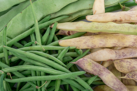 Background of green, runner and coco beansの写真素材