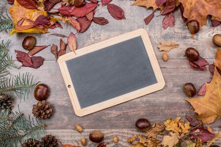 Slate on wooden background bordered with leaves and chestnuts