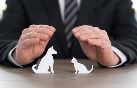 Insurer protecting pets with his handsの写真素材