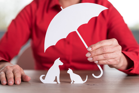 General agent protecting pets, concept of pets protection coverageの写真素材