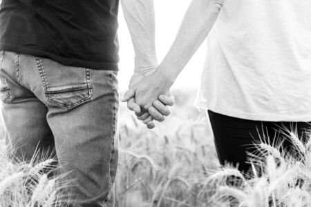 Couple holding hands in a wheat field on a summer evening at sunset, black and white, sunlight effectの写真素材