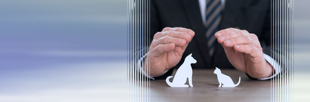 Insurer protecting pets with his hands. panoramic bannerの写真素材