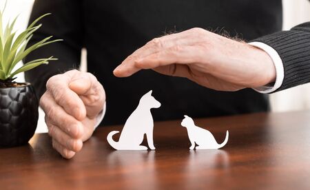 Insurer protecting pets with his handsの写真素材