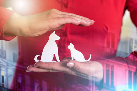 Insurer protecting pets with his hands; multiple exposure