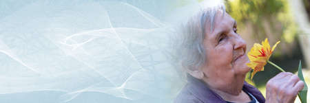 Portrait of an old woman smelling a flower, outdoors; panoramic banner