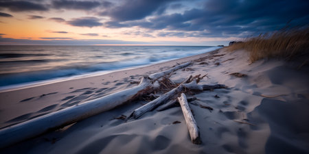 Last light of sunset glowing on driftwood scattered along an empty beach with dune grassの素材