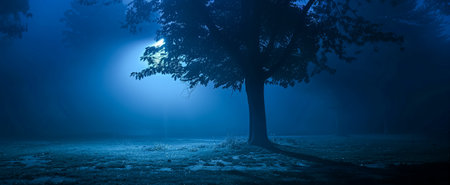 Atmospheric night scene with a solitary tree under foggy conditions, highlighted by a soft streetlightの素材
