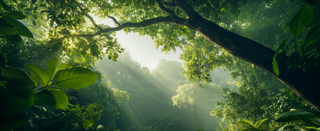 A serene jungle scene with sunlight beams illuminating green leaves and trees in the backgroundの素材