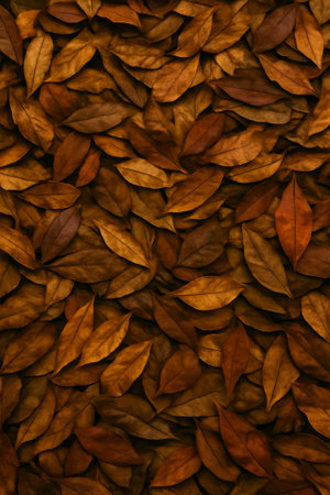 A close-up view of layered brown autumn leaves forming a rich and textured natural backgroundの素材